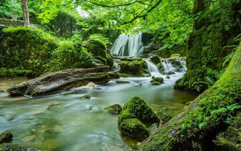 环保高标准高端